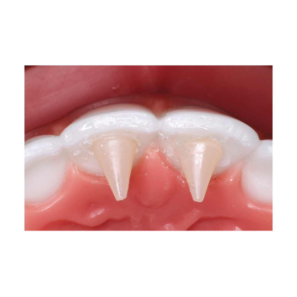 ReliaMold Starter Kit