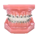 ┬®DynaFlex-Norris-typodont.webp