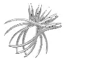 Aligner Plier Group - V3 Render.webp