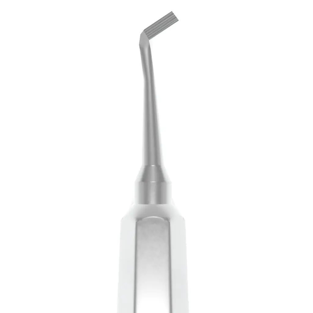 IX845 - Mershon Molar Band Seater - V2 Render.webp