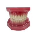 Organizator elastomeri - catene/module (copie)