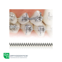G4 NiTi Open Spring 7" 1pk